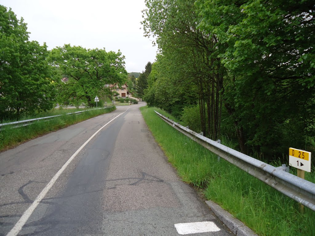 Km1 sur la D25 - Rue de Vourvenans à Trévenans-Sud by Claudius B.