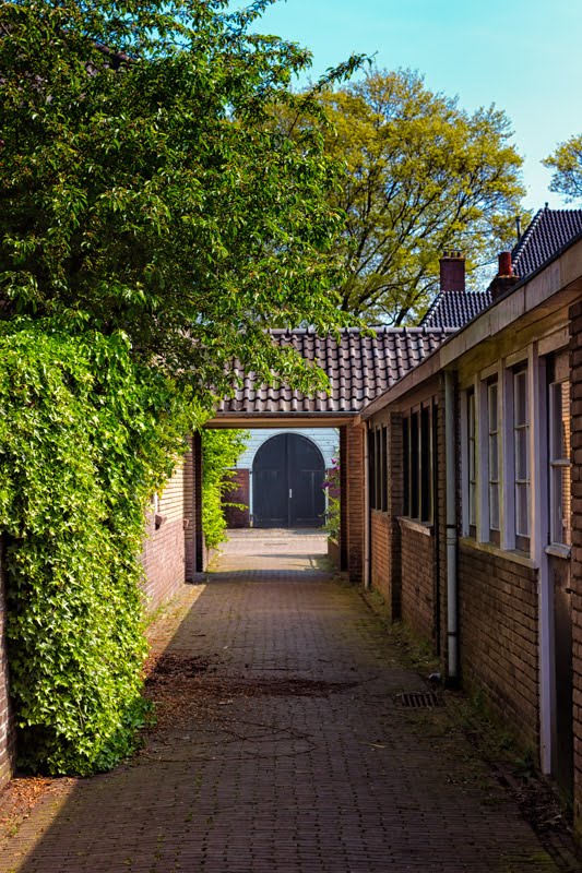 Blue Door At The End Of A Corridor by Jukka Heinovirta