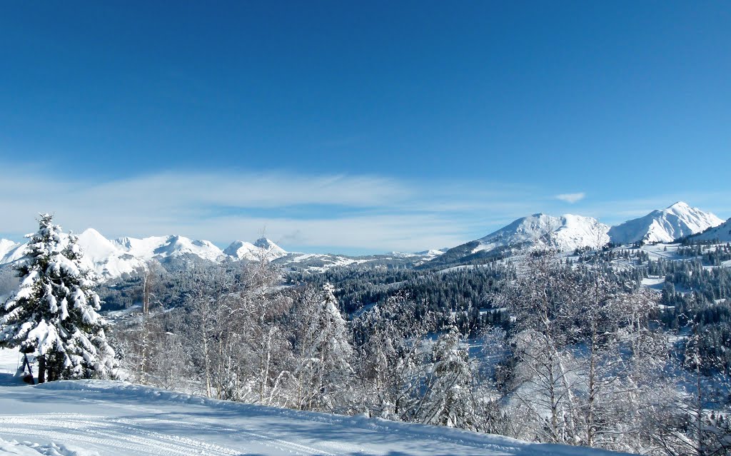 Les Gets, France by Roger Pedat