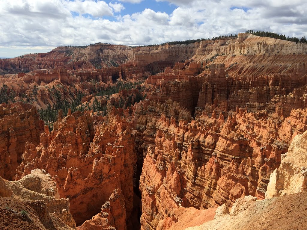 Bryce Canyon National Park by zachalan2012