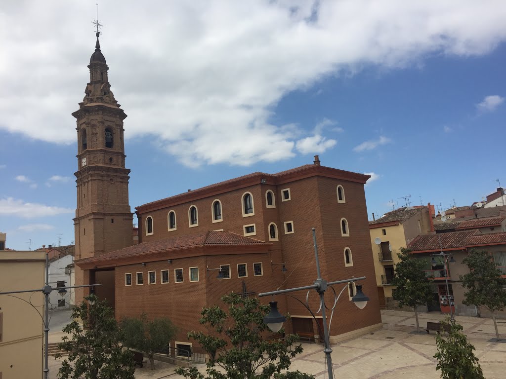 Pradejón, La Rioja, Spain by Jose Felix Ezquerro