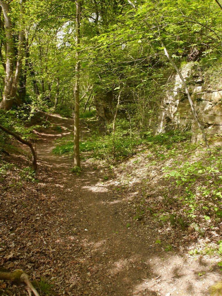 Becca Bank, Aberford by Dave Pashby