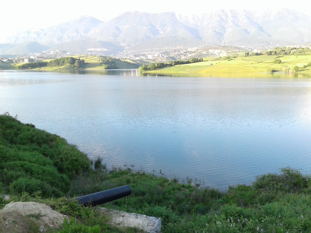 Çollak, Albania by Borshi