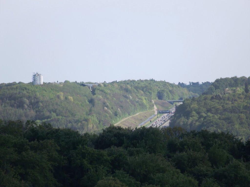 Leonberg, Bockberg by Kurdo Kolenko