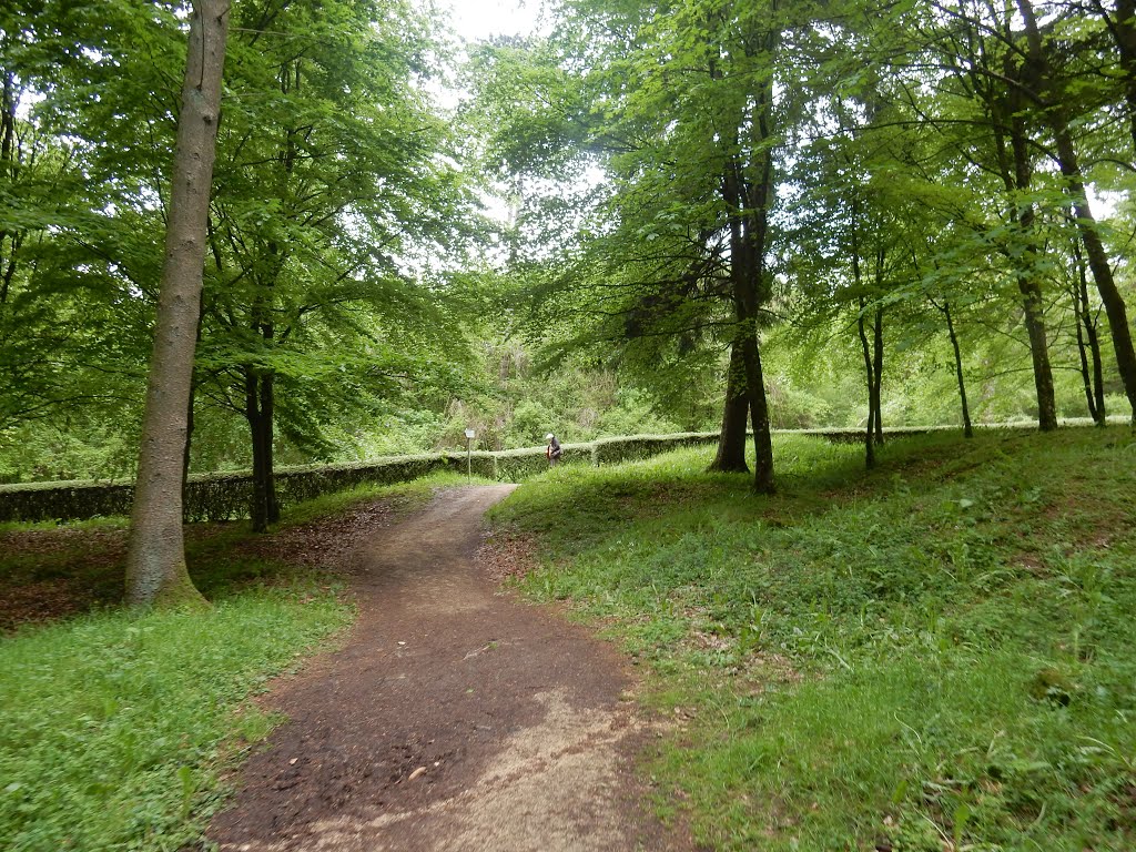 55100 Fleury-devant-Douaumont, France by Nikos Sarantakos