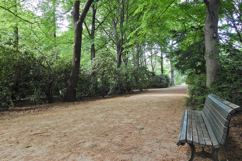 Tiergarten, Berlin, Germany by Günter Kriems