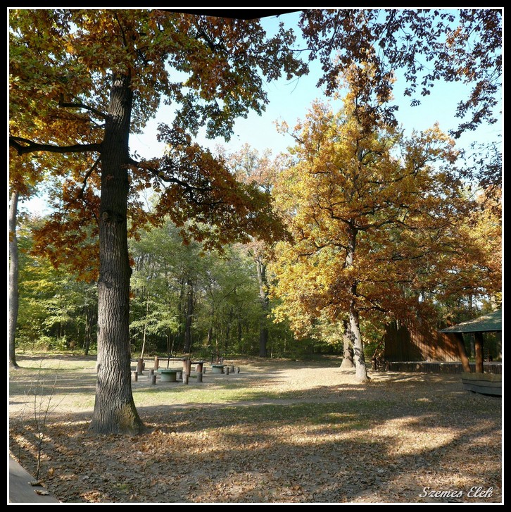 Nyíregyháza, Hungary by Szemes Elek