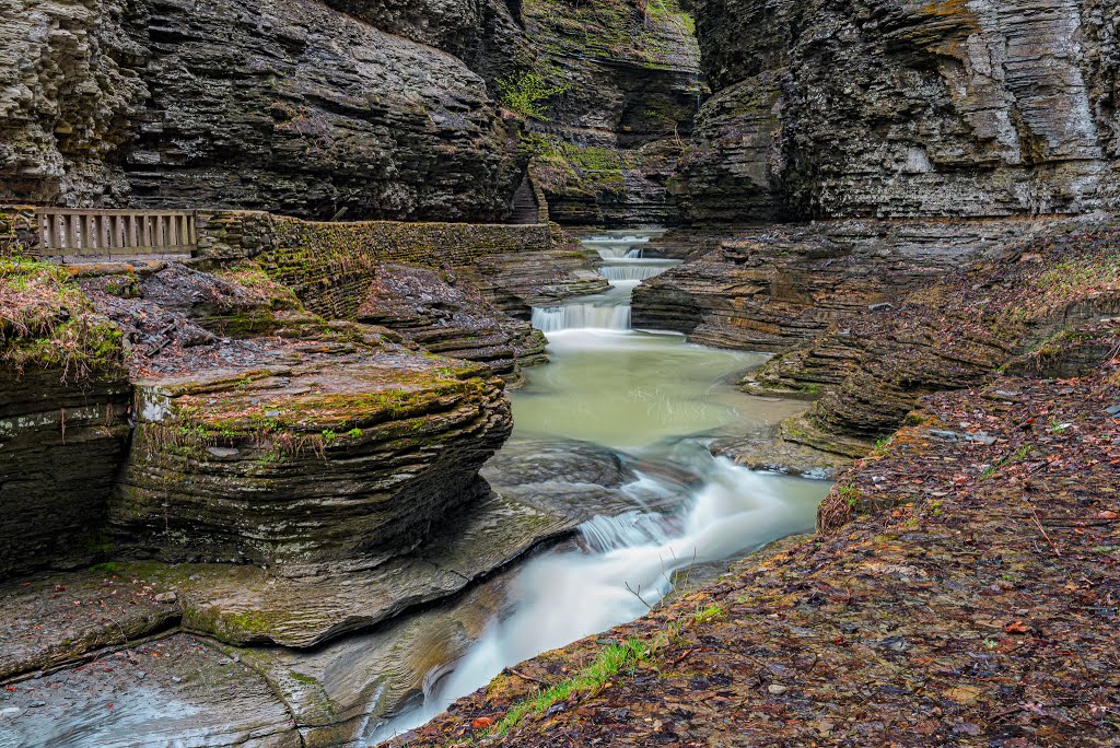 Watkins Glen State Park by Pedro Lopez