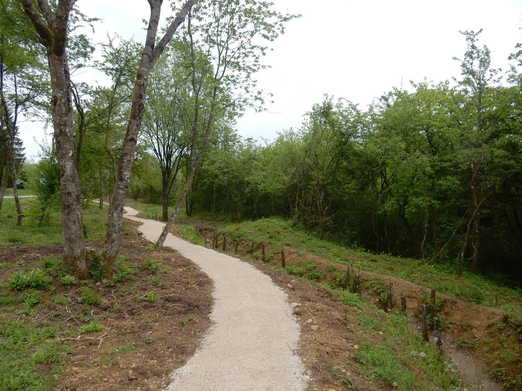 55100 Fleury-devant-Douaumont, France by Nikos Sarantakos