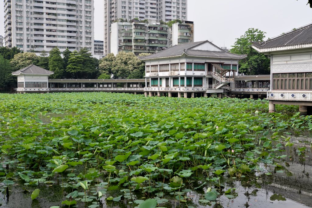 Liwan, Guangzhou, Guangdong, China by Kin Hung Chan