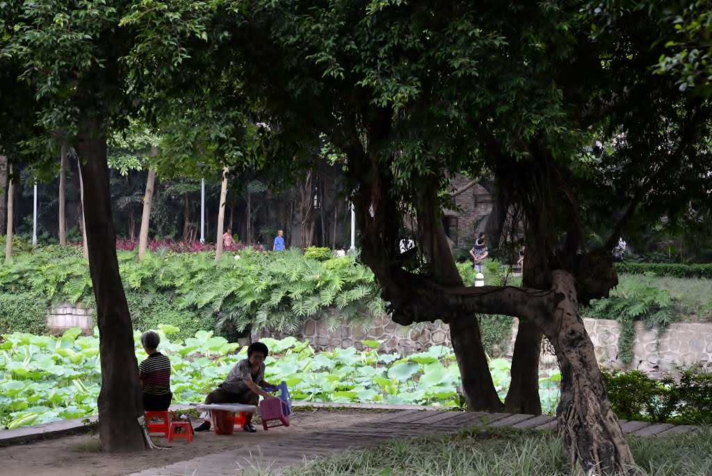 Liwan, Guangzhou, Guangdong, China by Kin Hung Chan