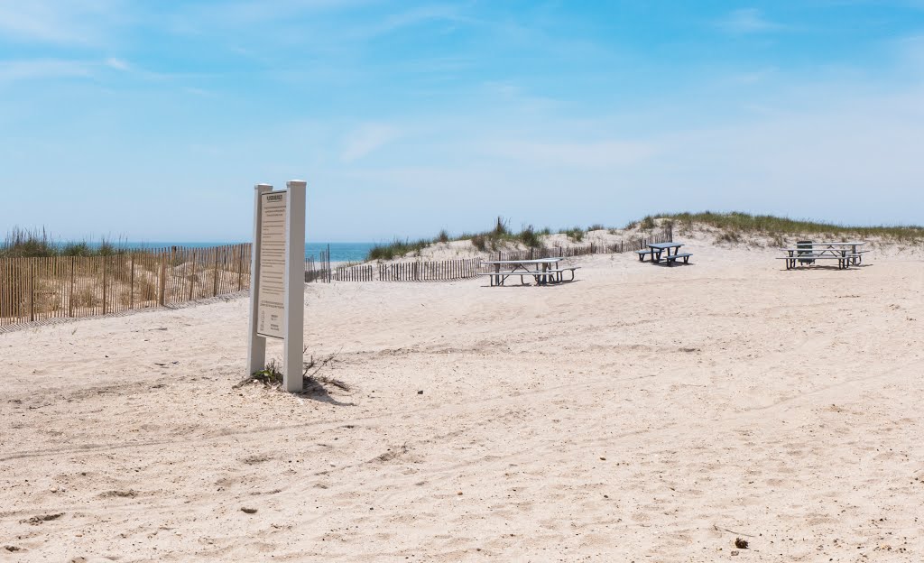 Smith Point, Long Island, NY by Alexander Zaytsev