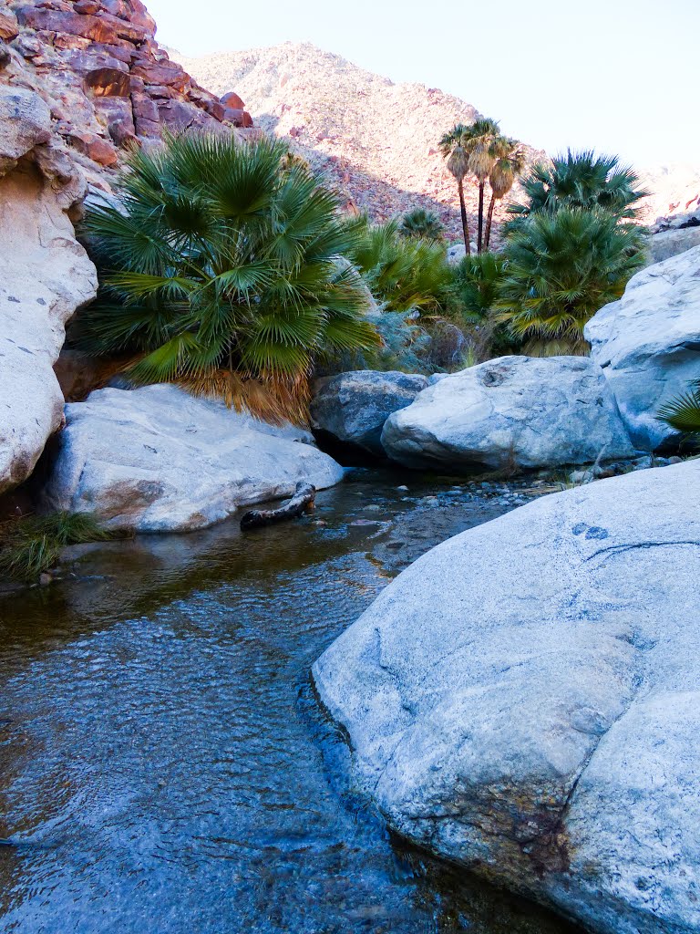 Hellhole Palms Anza Borrego Park by mhendren