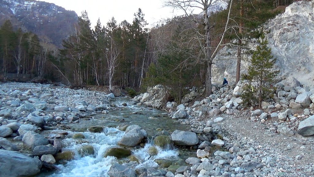 Р. Кынгарга (Аршан, Бурятия, 2016); Kyngarga river (Arshan, Buryatia, 2016) by Владимир Чокан