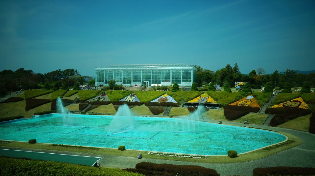 Hamamatsu flower park 　浜松フラワーパーク by Ken Matsu