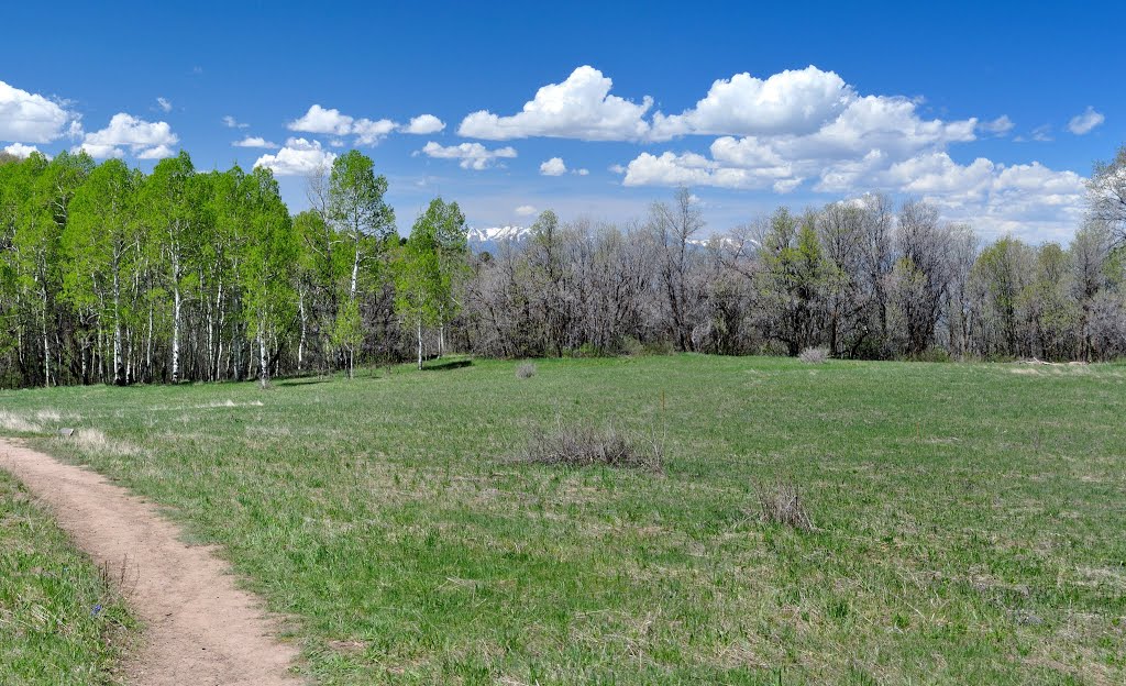 Looking west by John Roberts