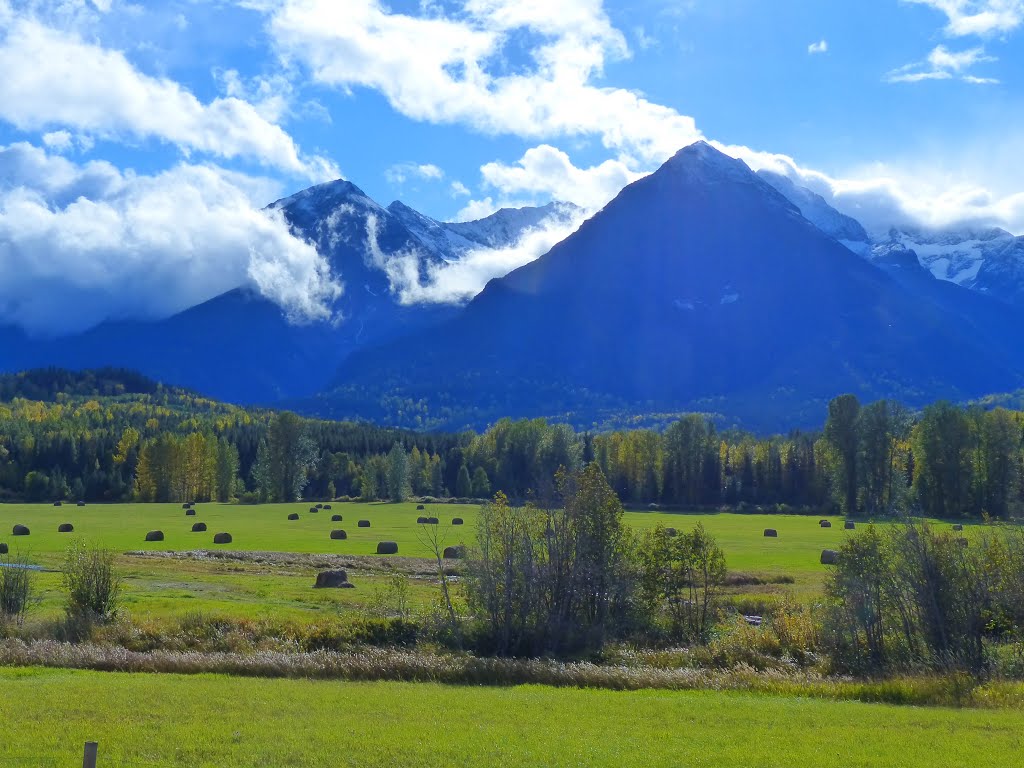 Bulkley-Nechako A, BC V0J, Canada by mhendren