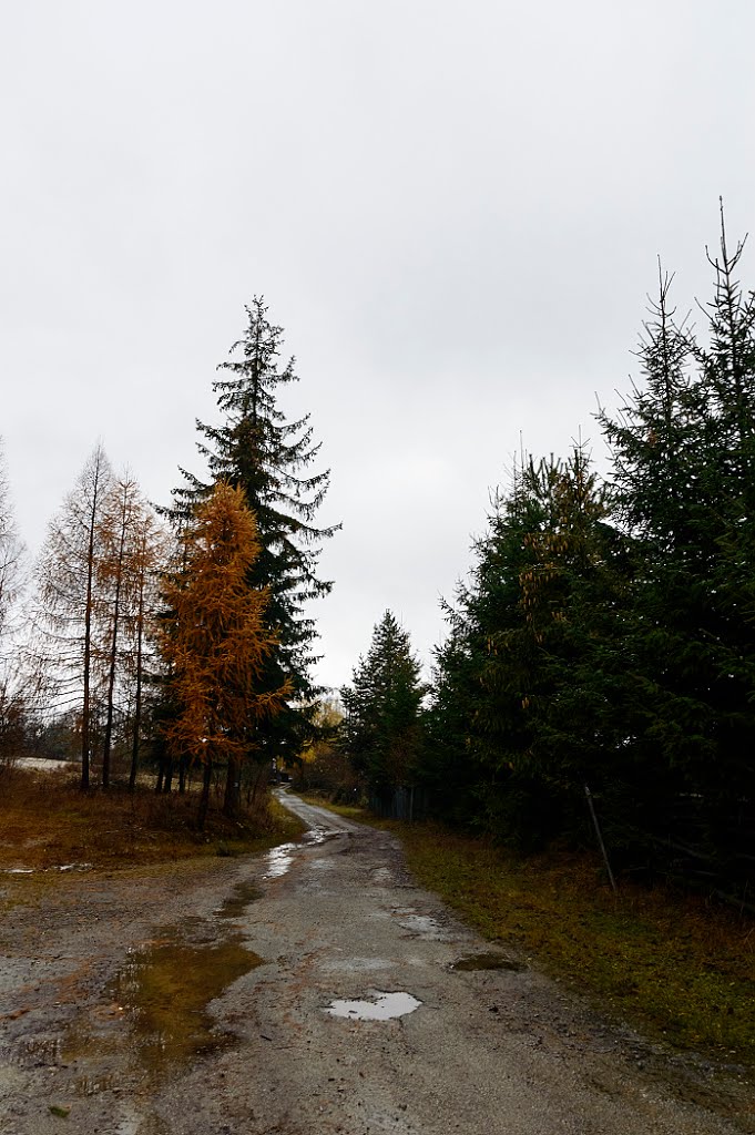 013 06 Terchová, Slovakia by Pavol Gombos