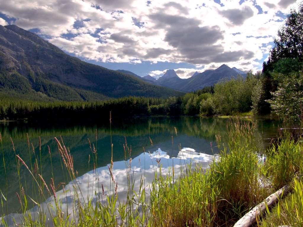 Wedge Pond by Derek Hanking