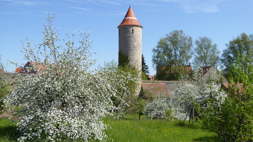 Dinkelsbühl : Garten Forstrevier. 09.05.2016 by Manfred Nowag