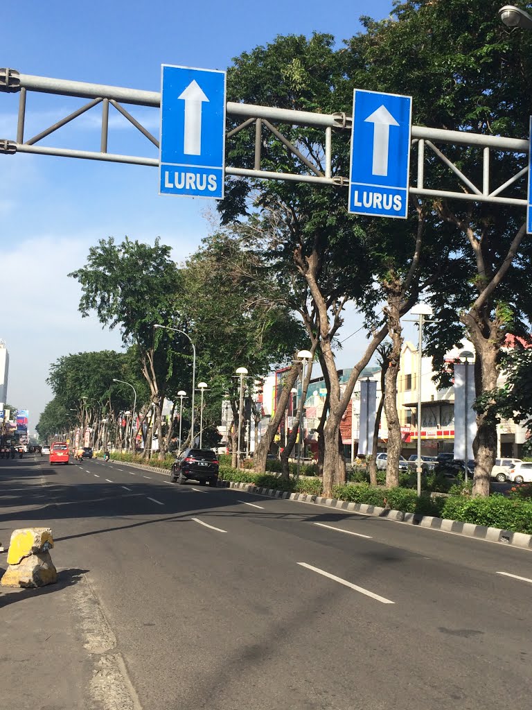 MAIN ROAD AT SUMMARECON KELAPA GADING by T. Palgunadi