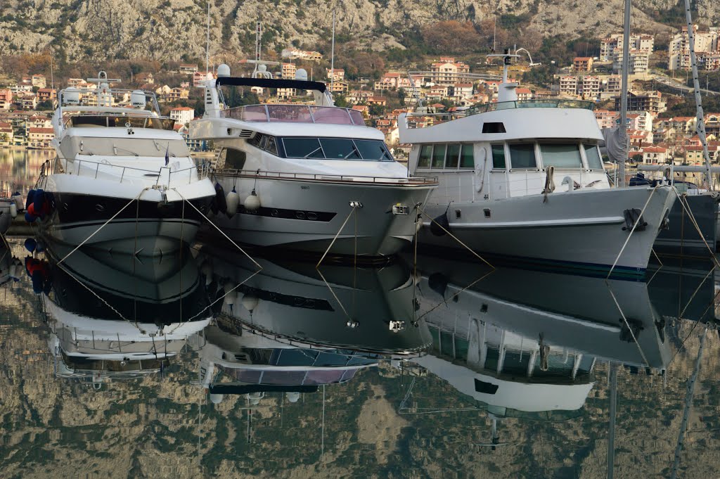 Bay of Kotor, Montenegro by oleg peronkov