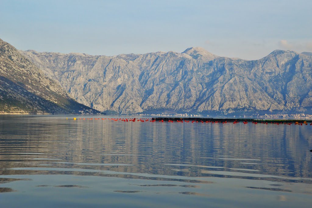 Bay of Kotor, Montenegro by oleg peronkov