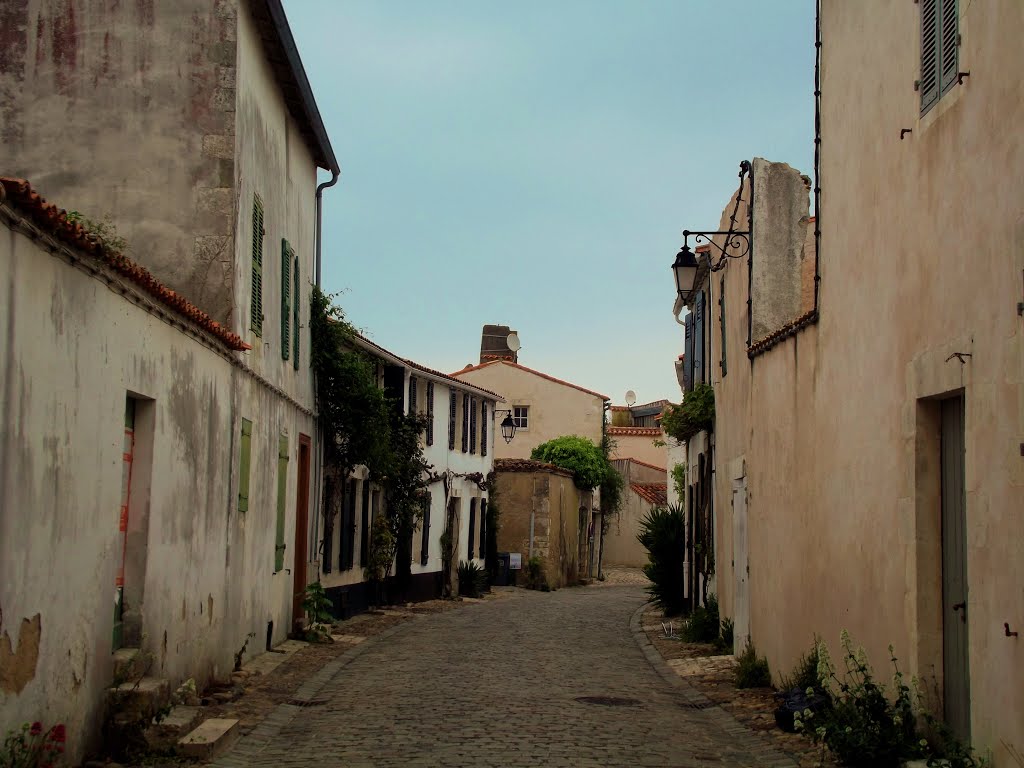 Saint-Martin-de-Ré, France by Hassène ALAYA