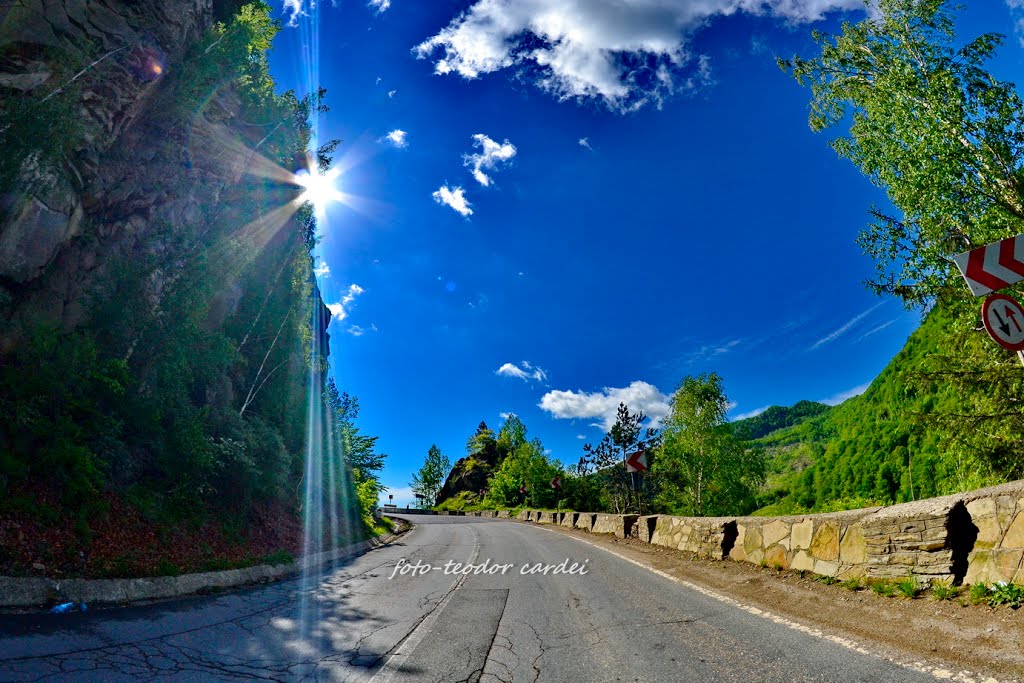 Siriu, Romania by Teodor Cardei