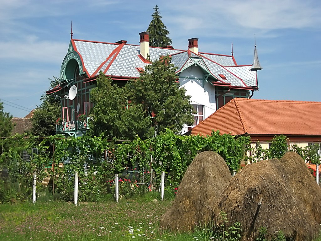 House in Ocna Sibiului by Phaethon