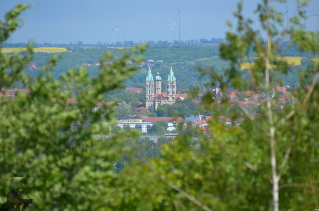 Naumburg, Germany by FireBuff