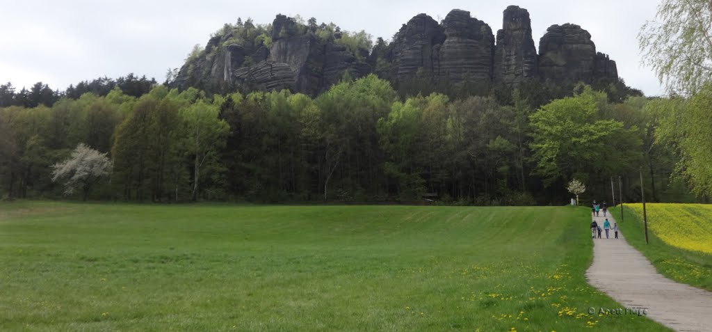 Königstein, Germany by Anett Flüge