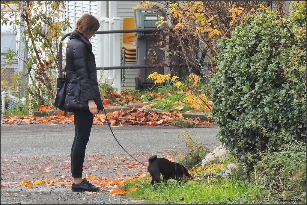 Young woman and her dog, Strathcona - Nov 2013 by ThosGee