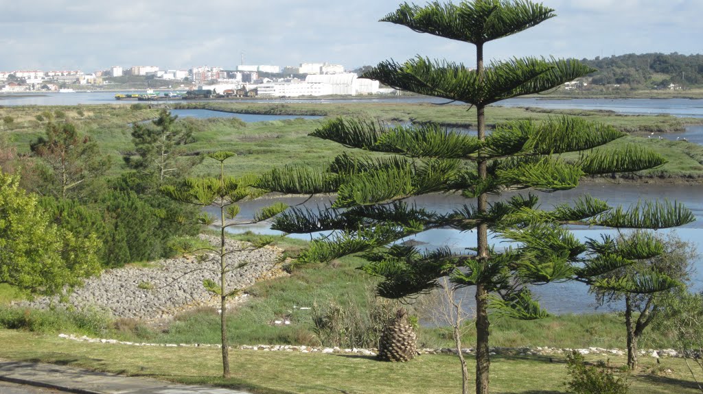 Sapal de Corroios, Miratejo, Seixal, Portugal by Margarida Bico