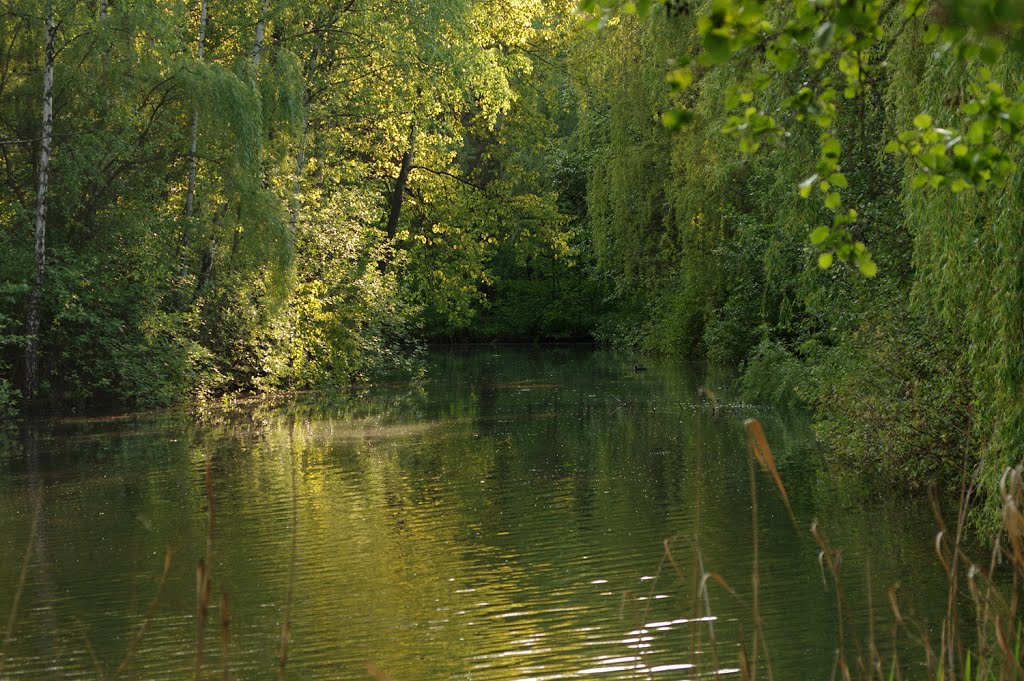 Park w Kazimierzu Górniczym by Wojtek Baran