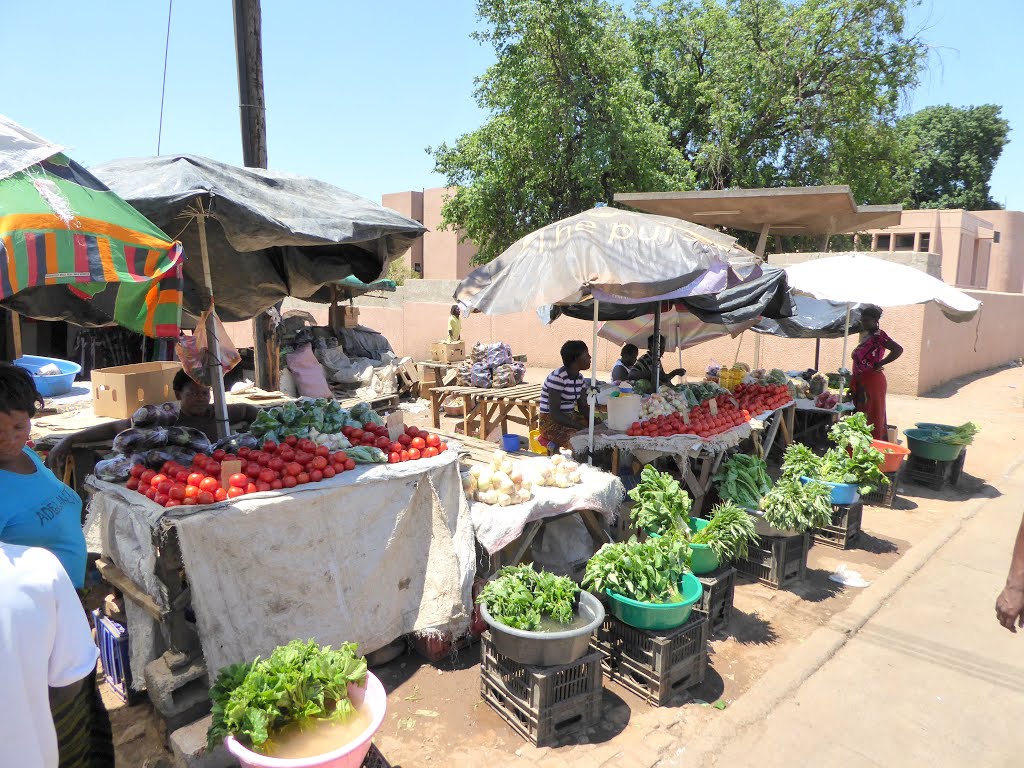 Livingstone, Zambia by cowbridgeguide.co.uk