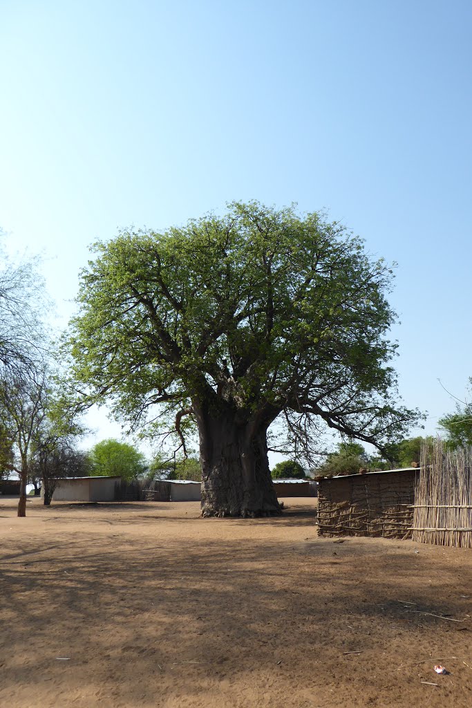 Zambezi Region, Namibia by cowbridgeguide.co.uk