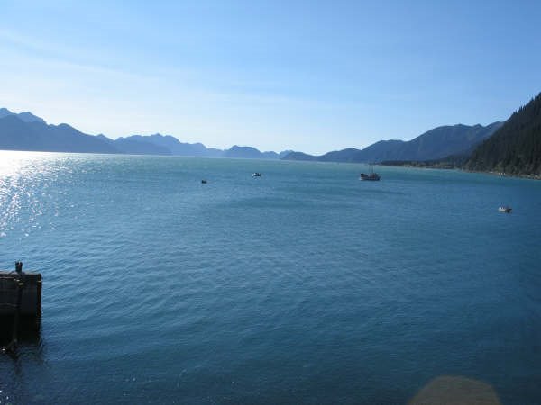 Resurrection Bay from Sea Life Center Balcony by lilnese23