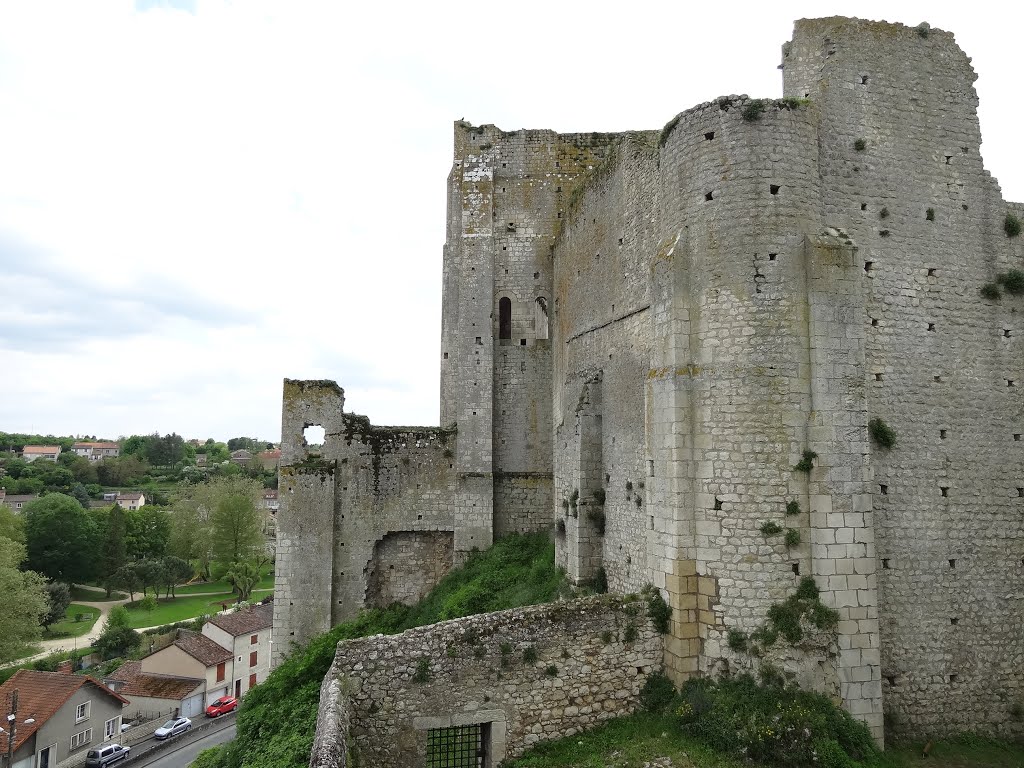 Le château des évêques by joel.herbez