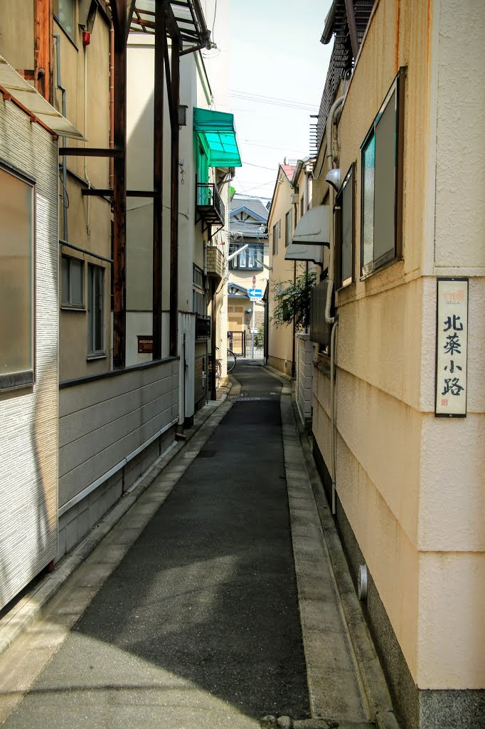 Higashiyama Ward, Kyoto, Kyoto Prefecture, Japan by Yuichi Azuma