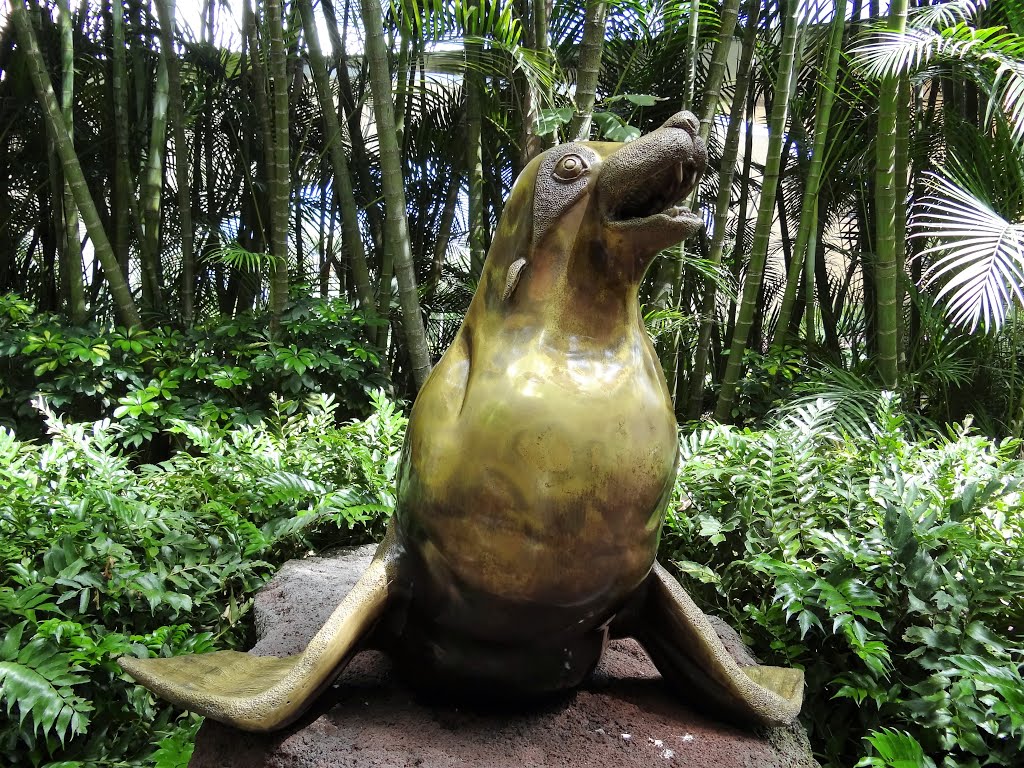 Loro Parque Tenerife by Artista49