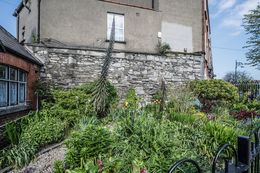 LITTLE PUBLIC PARK AT BLESSING STREET BASIN IN DUBLIN - WELL WORTH A VISIT by William Murphy