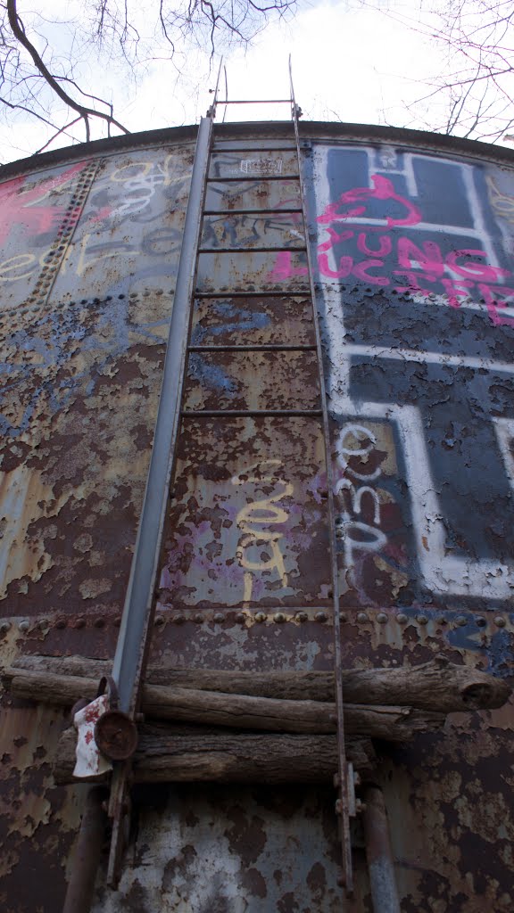 Water Tower Ladder by Brock S.