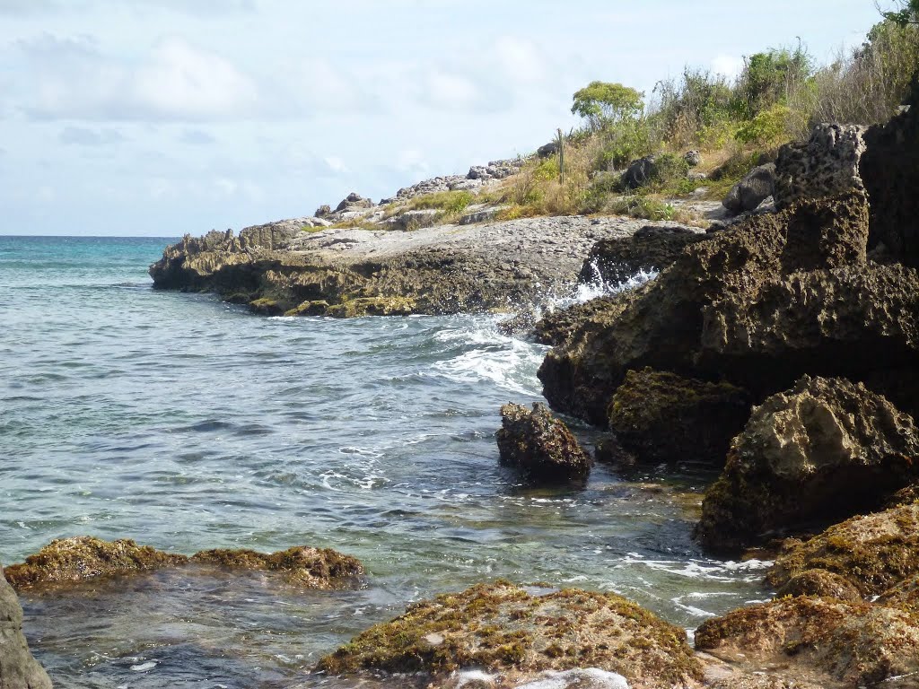 Unnamed Road, Saint-Barthélemy by Aron Leeper