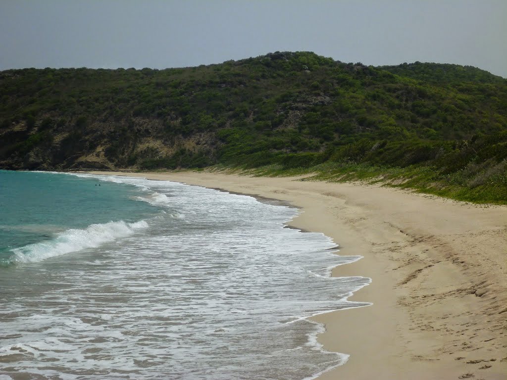 Unnamed Road, Saint-Barthélemy by Aron Leeper