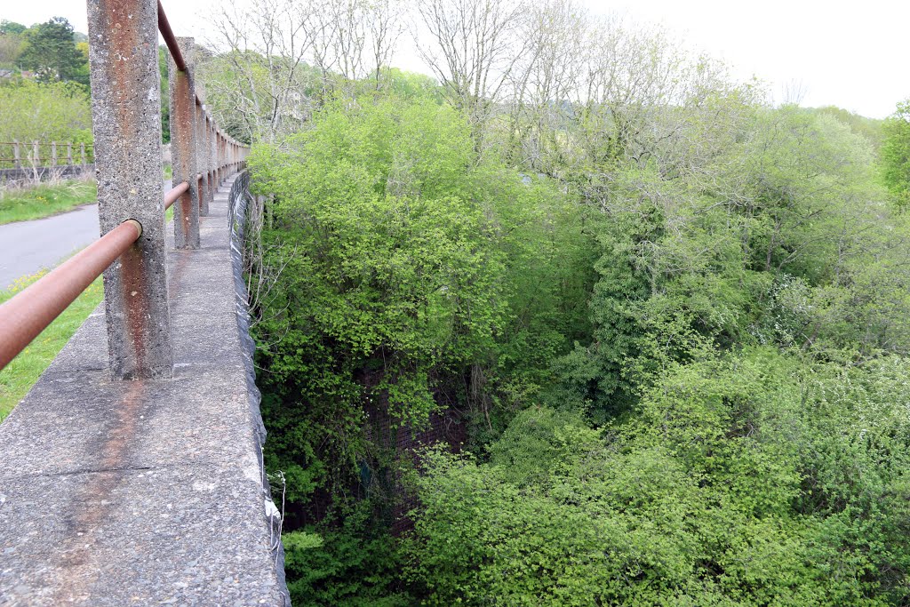 Midford Viaduct by Phil Chipper