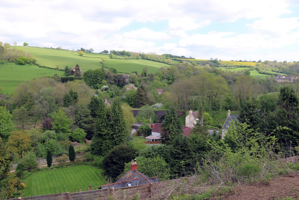 Midford Valley looking at the Camerton branch viaduct by Phil Chipper