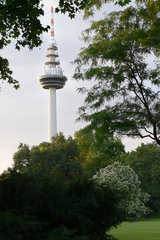 TV Tower - Mannheim, Germany by Małgorzata Tomkowicz