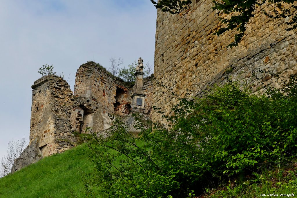 Odrzykoń. Zamek Kamieniec. by Dariusz Domagała