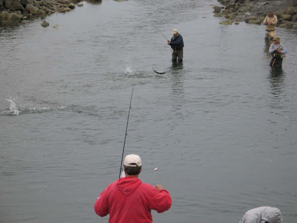 Homer, AK Fishing Hole by lilnese23